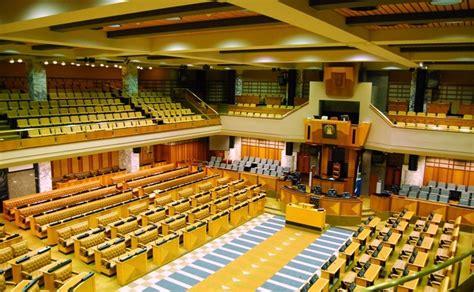 South Africa S National Assembly Fight Caught On Camera