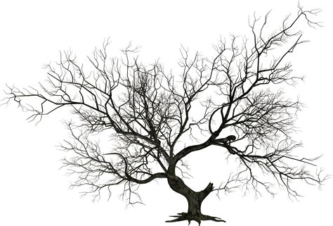 haunted tree silhouette   haunted tree silhouette png