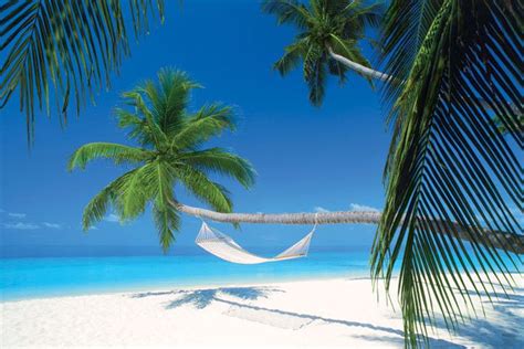 maledives island hammock poster in 2019 exotic posters hammock beach pictures maldives