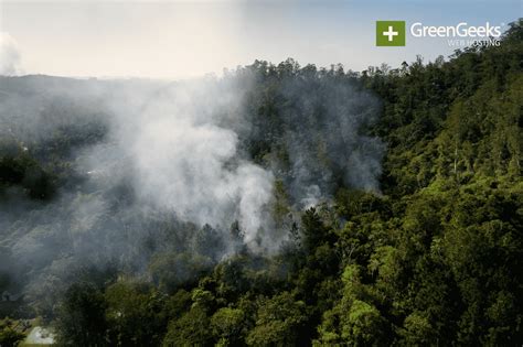 amazon rainforest fires  impact  climate