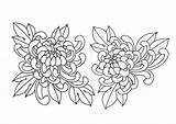 Flower Chrysanthemum Mum sketch template