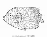 Stonefish Coloring sketch template