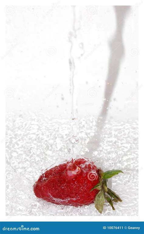 strawberry splash stock image image  drop berry splash