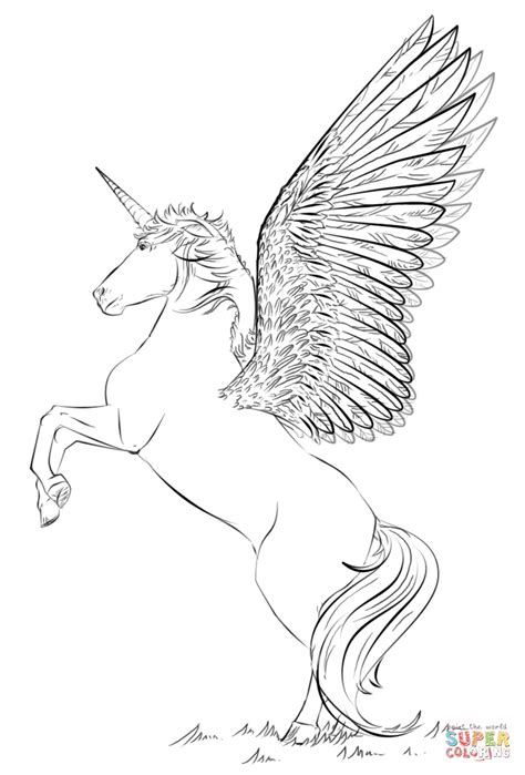 hueyphotos unicorn coloring pages  wings