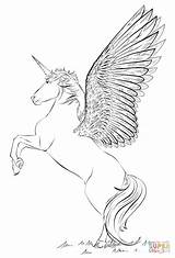 Licorne Einhorn Unicornio Unicorno Ali Eenhoorn Alado Ausmalbild Alas Vleugels Licornes Diebe Herr Kleurplaten Realiste Schwer Pegasus Flügel Printen Scribblefun sketch template