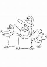 Penguins sketch template