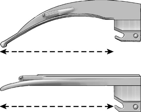 blade length excluding  base  measured  placing  proximal  scientific