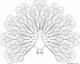 Peacock Coloring Pages Printable Outline Print Color Heart Tattoo Hearts Colouring Kids Mandala Realistic Sheets Patterned Tail Sweet Adult Drawings sketch template