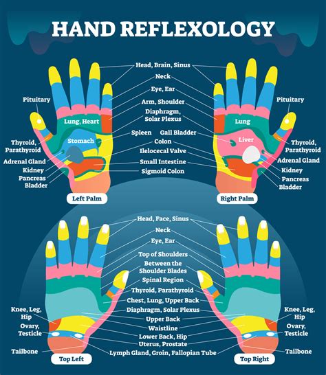 reflexology hand chart hand reflexology reflexology hand chart images