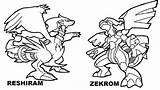 Pokemon Reshiram Zekrom sketch template