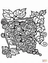 Zentangle Grape Uva Traube Colorare sketch template