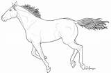 Tack Coloring Comments Horse Western Running sketch template