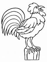 Ptica Bojanke Ptice Oiseaux Uccelli Disegno Nazad Decu Gifgratis sketch template