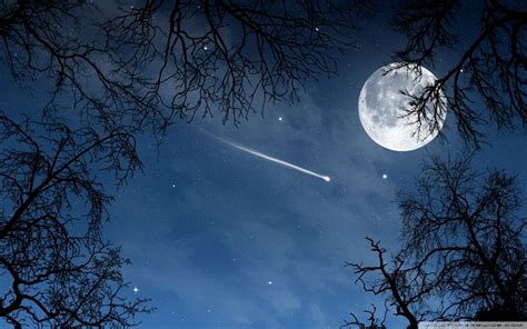 shooting star wallpapers top  shooting star backgrounds wallpaperaccess