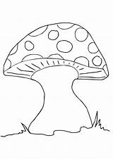 Pilz Paddestoel Kleurplaat Mushroom Ausmalbild Kleurplaten Mooshroom Q2 sketch template