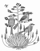 Drawing Tutorials Wren Wrens Birds Geninne Getdrawings sketch template