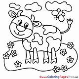 Kuh Malvorlage Calf Kinderbilder Malvorlagen Bauernhof sketch template