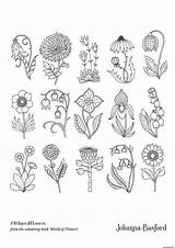 Johanna Basford Coloriage Fleurs Adult Netdna Wpengine sketch template