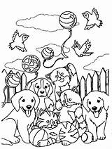 Frank Lisa Coloring Pages Printable Spotty Playtime Sunflower Caymus Casey Forest sketch template