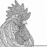 Rooster Adult Pages Zentangle Cpr Coloringbay Chickens Roosters Getcolorings sketch template