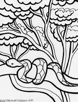 Rainforest Coloring Pages Kids Color Printable Getcolorings sketch template