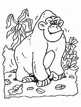 Kleurplaten Gorilla Aap Dieren Moeilijk Bokito Binatang Mewarnai Hewan Ausmalbild Animali Animasi Animaatjes Bergerak sketch template