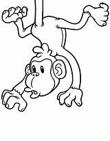 Affe Affen Ausmalbild Ausdrucken Ausmalen Erschrockener Malen Pinnwand Dicker sketch template