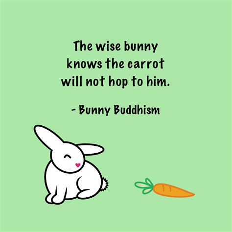 pin  bunny wisdom