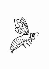 Abeille Bijen Coloriage Dieren Pages Wesp Fbfe Wasp Coloriages Animaatjes Papillon Abeilles Insectes Malvorlagen Bienen Dessiner Insecten sketch template