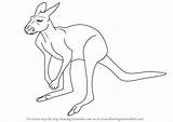 Kangaroo Red Draw Drawing Sketch Kangaroos Step Easy Kids Tutorial Learn Paintingvalley Animals Tutorials sketch template
