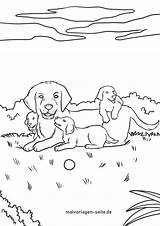 Hunde Hundewelpen Ausmalen Kleurplaten sketch template