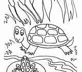 Pond Coloring Pages Frog Turtle Drawing Lily Pad Fish Printable Preschoolers Shell Color Getdrawings Life Getcolorings Template Sea Habitat Colorings sketch template