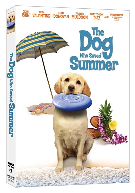 lucky ladybug  dog  saved summer dvd review  giveaway
