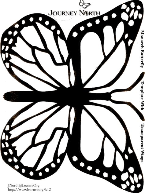 monarch butterfly template clipartsco