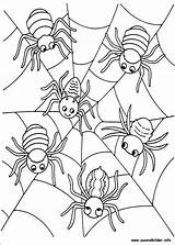 Halloween Coloring Pages Kids Spinnen Book Sheets Spinne Ausmalbilder Spin Activity Books Spiders Spider Holidays Activities Part Updated Last Besuchen sketch template
