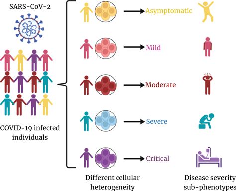 frontiers cellular heterogeneity  disease severity  clinical