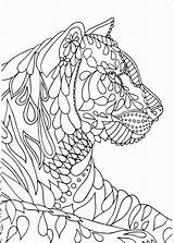 Coloring Mindfulness Anxiety Tiger Calm Lion Getdrawings Olds Cat Viatico Kleurboeken Aanbevelingen Boek sketch template