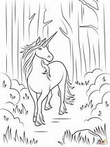 Einhorn Ausmalbilder Pferde Tiere sketch template