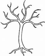 Tree Outlines Clipart Clip Bare Coloring Outline Branches Template Printable Branch Leaves Drawing Trees Without Drawings Pages Royalty Vector Google sketch template