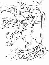 Spirit Coloring Pages Stallion Cimarron Ice Horse Rain Color Slipping Print Colouring Kids Dreamworks Printable Sheets Bear Lineart Gif Categories sketch template