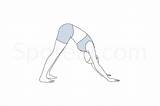 Downward Pose Facing Adho Mukha Svanasana Spotebi Mindfulness Exercises sketch template