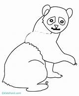 Panda Pandas Color Coloring Library Clipart Pages sketch template