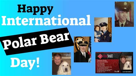 happy international polar bear day youtube