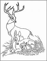 Bambi Coloring Pages Family Disney His Printable Reindeer Parents Deer Adult Bing Kids Friends Colouring Fun Color Fanpop Princess Sheets sketch template