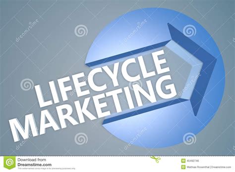 lifecycle marketing stock illustration illustration  management