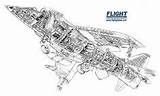 Aircraft Harrier Cutaway Wanted British Some sketch template