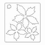 Poinsettia Template Printable Popular Coloring sketch template