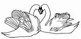 Lebada Colorat Desene Cisnes Planse Pasari Lebede Imagini Salbatice Animale Apaixonados Tudodesenhos Imaginea Educative Trafic Analytics sketch template