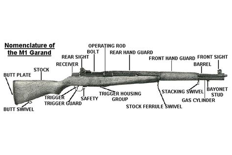 gallery poster  garand rifle  important parts labeled walmartcom