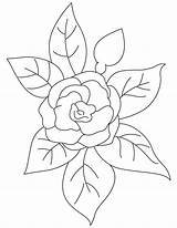 Camellia Bestcoloringpages sketch template